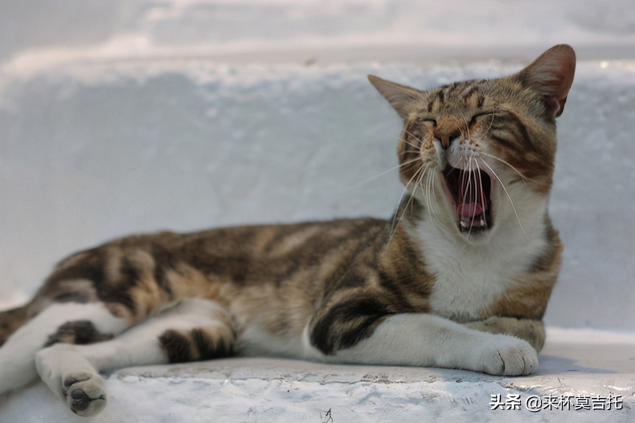 初学者吉他推荐静音,吉他初学者推荐歌曲童年