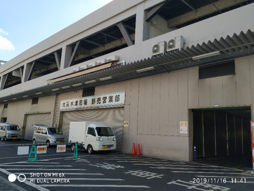 3月底日本关西8日游攻略,日本关西旅游攻略七日游