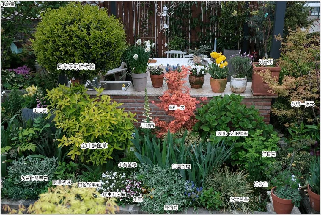 怎样打造露台花园,简单露台花园打造方法