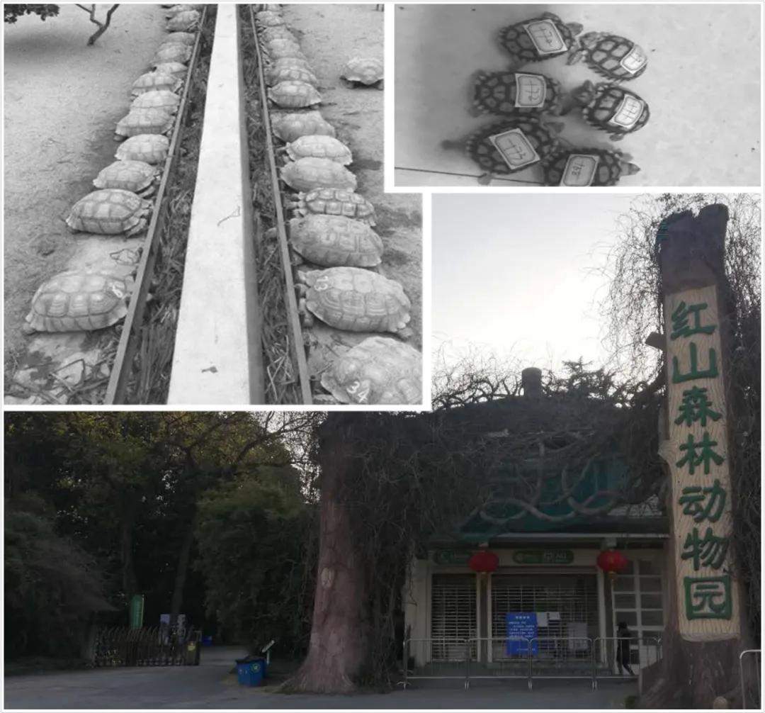 许可证即将过期需要处理吗,许可证过期延期的情况说明