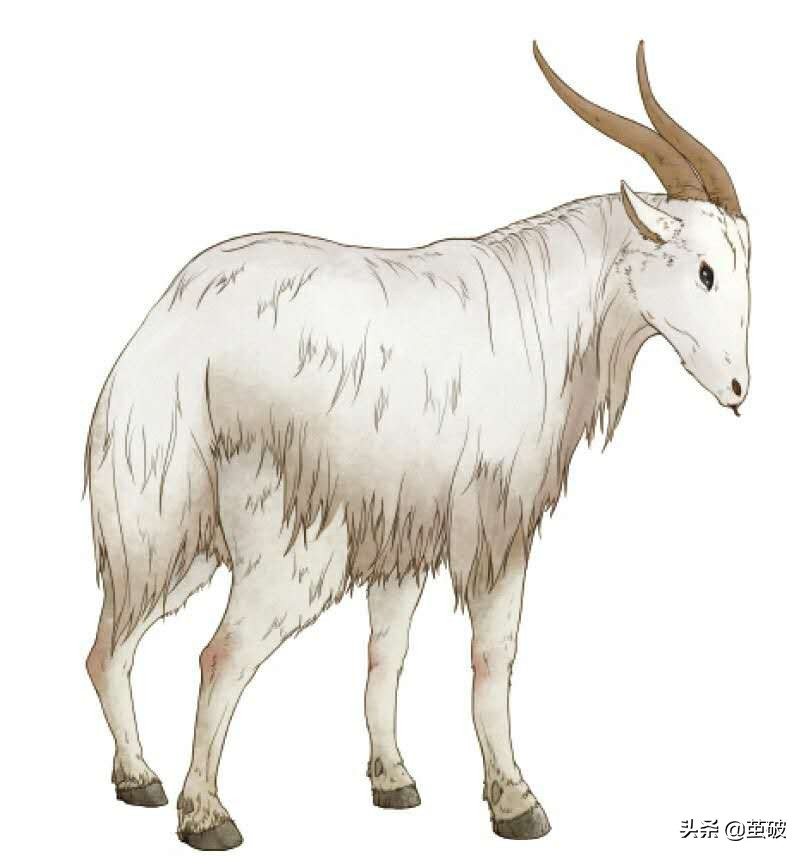 《山海经》中的珍禽异兽第四篇,完全颠覆我们的认知,太神奇了