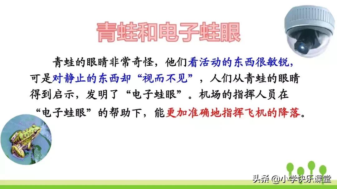 四年级上册语文蝙蝠和雷达课后题,部编版四年级上册语文蝙蝠和雷达