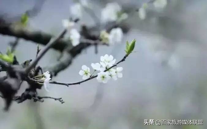 中国各城市的别称大全,中国各大城市的别称