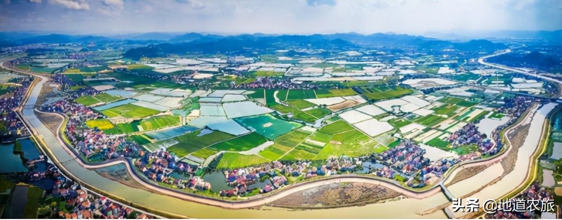 看她如何从砂砾到宝珠，实现乡村振兴，仅线上销售就达20亿