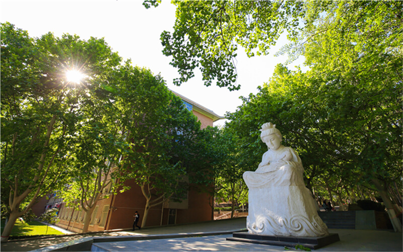 河南民办高校（本科）大起底：野花儿香，能采不？