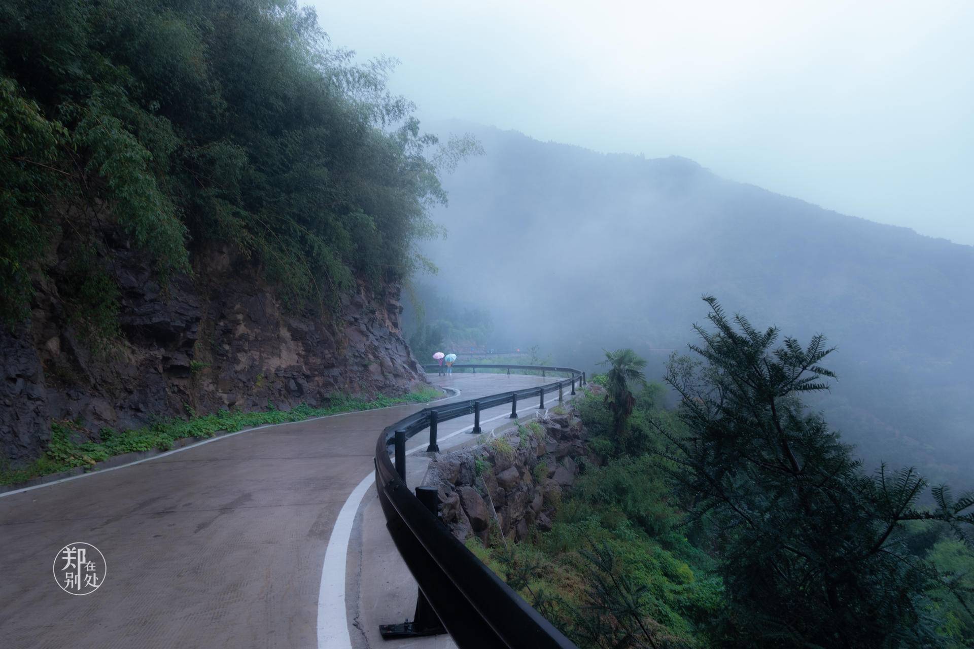 香榧古道,香榧古道徒步路线哪条景色美