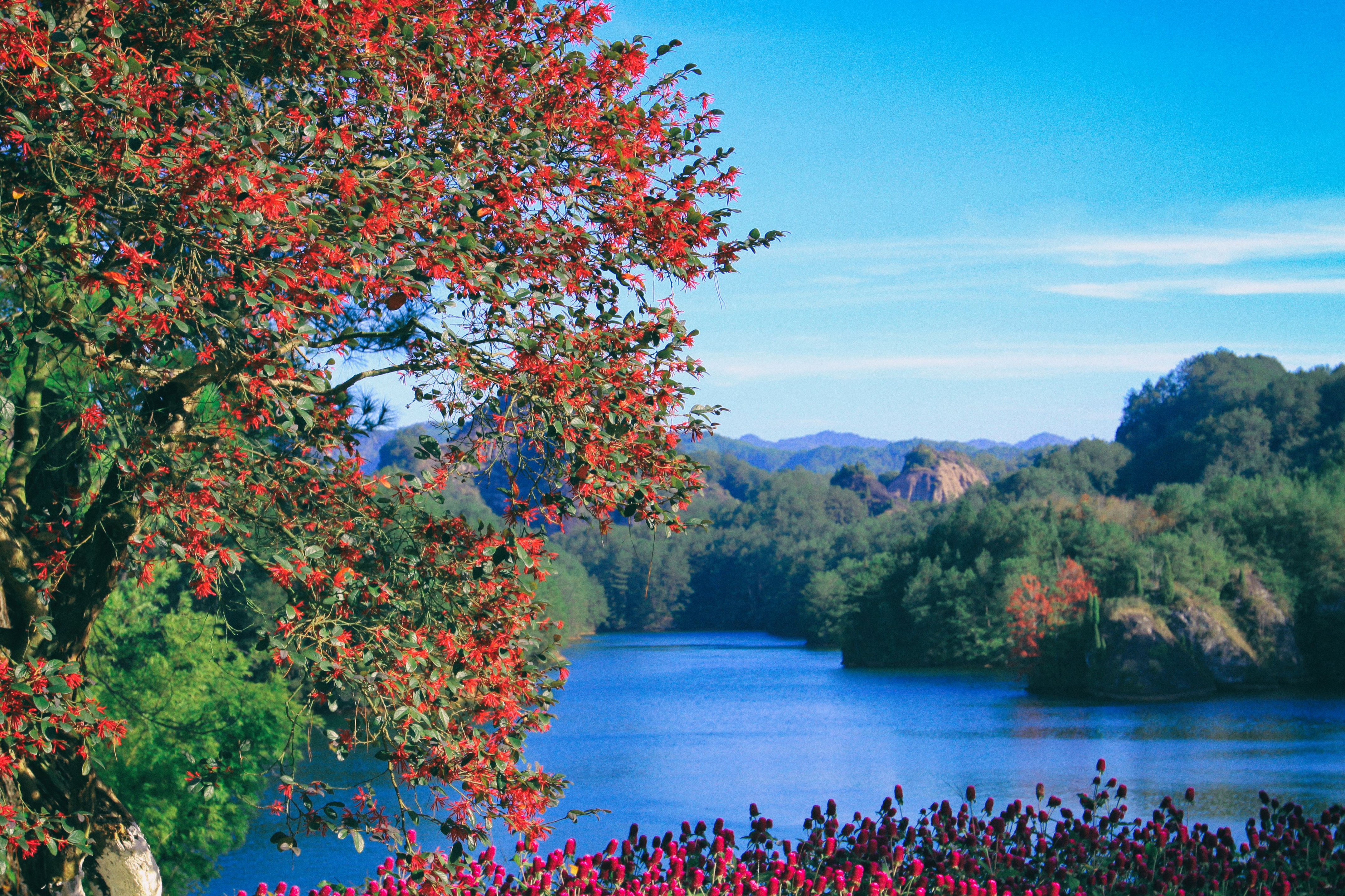 上海到福建自驾游旅游攻略,福建旅游攻略自驾游景点