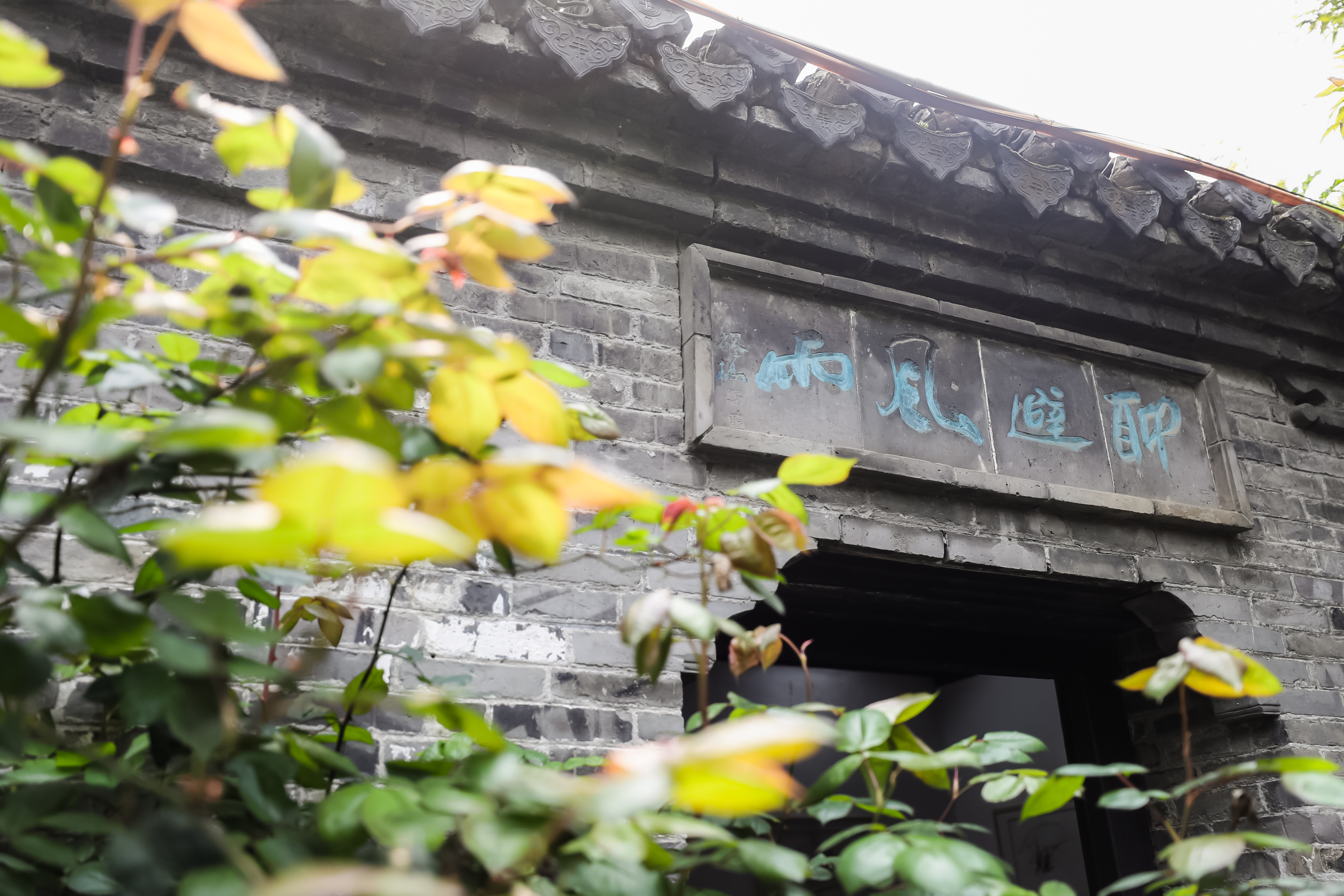 兴化看油菜花一日游,兴化千亩油菜花旅游