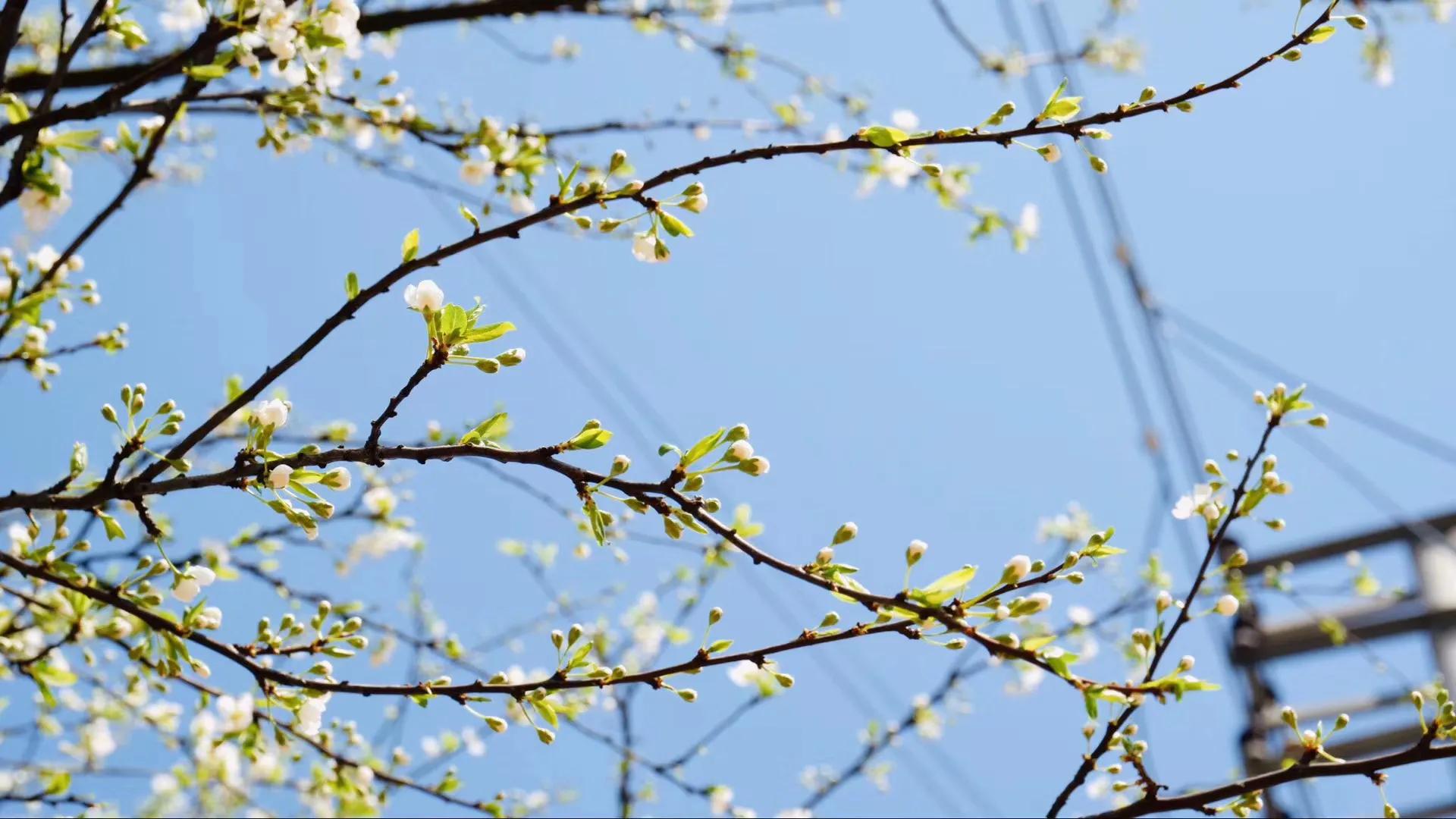 体温超过37.5度正常吗,体温37.3度算不算发烧