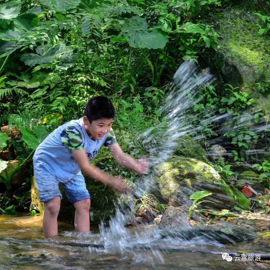 山海闽西南|乐吃、乐游、乐开怀！带上这份攻略，玩转云霄白石村~