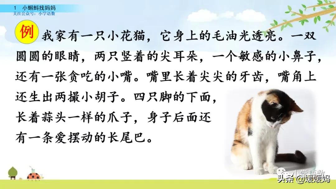 二年级上册小蝌蚪找妈妈听写词语,朗读二年级上册语文小蝌蚪找妈妈