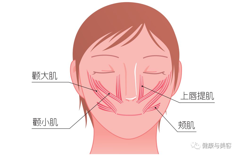 薛凯琪法令纹,薛凯琪保养秘诀每天敷面膜