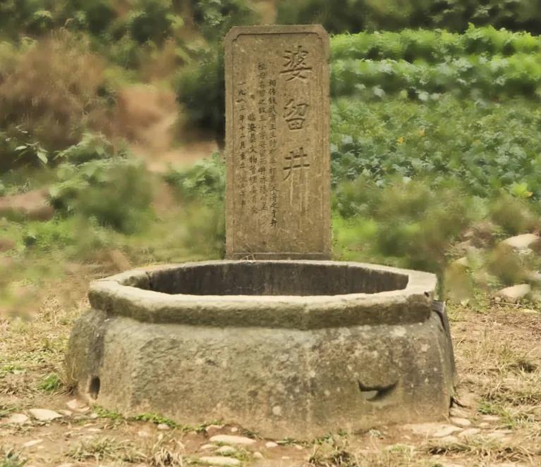 钱学森钱三强是什么关系,钱学森钱钟书钱三强是一家人吗