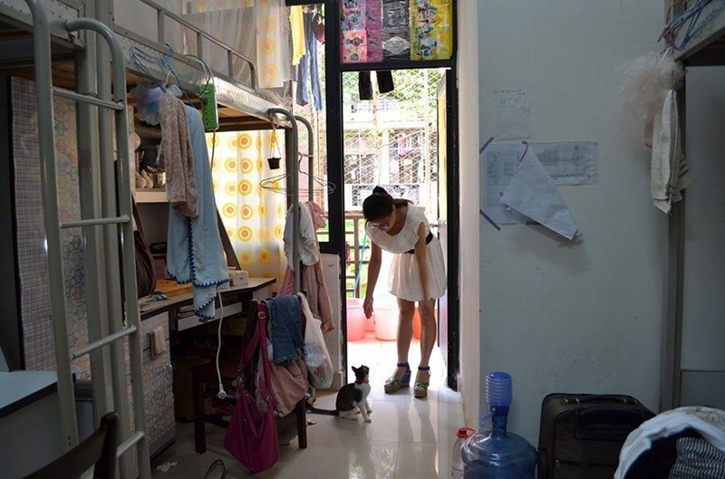 大学禁带什么物品,大学宿舍里面禁止带的东西