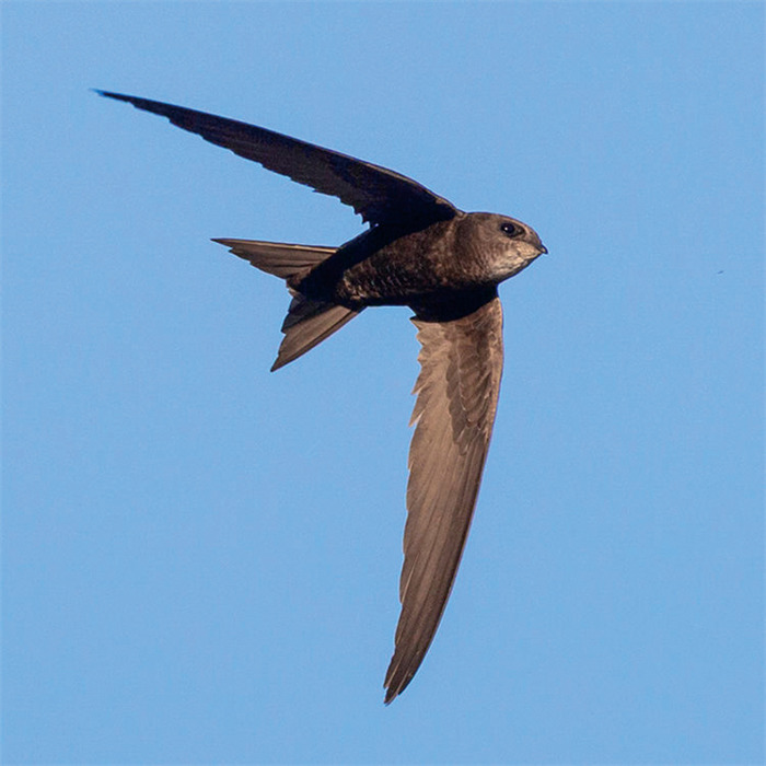 美丽中国北京密云区,美丽中国背景音乐