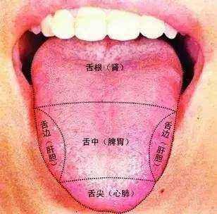 看看你的舌头是怎么变化的,看看你的舌头就知道你有没有病