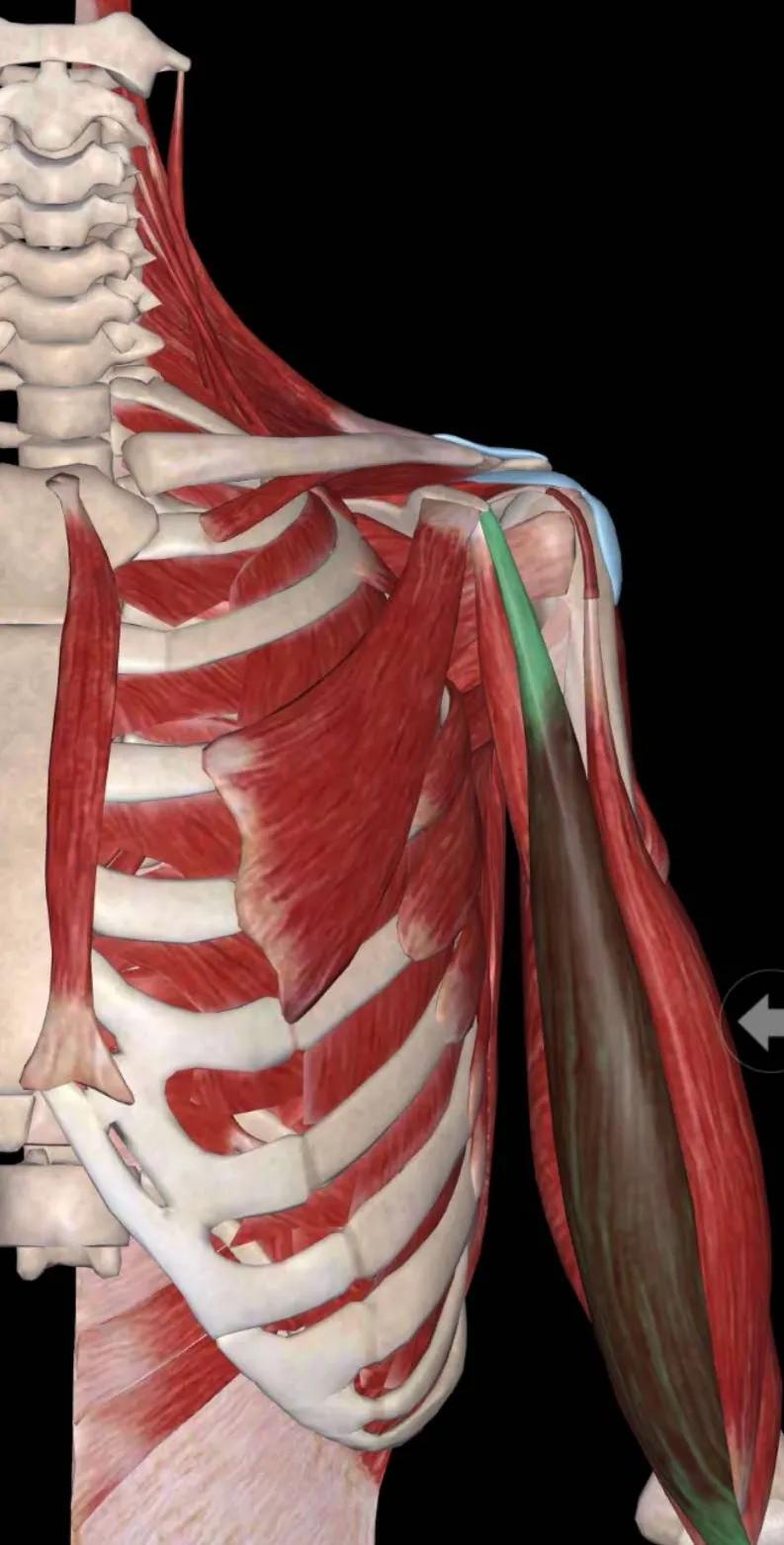 中医不是慢郎中第一集,中医不是慢郎中央视十套
