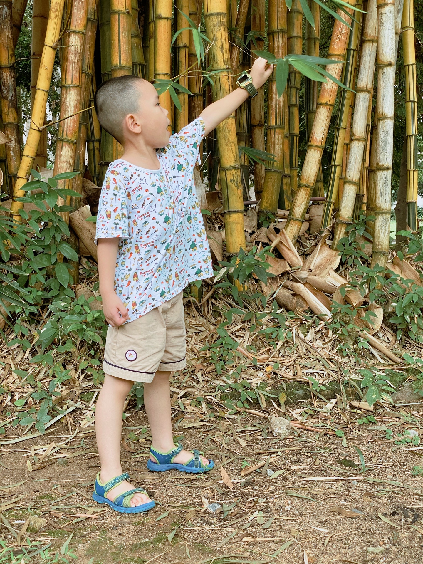 儿童电话手表小天才和360哪一款好,智能手表保护孩子