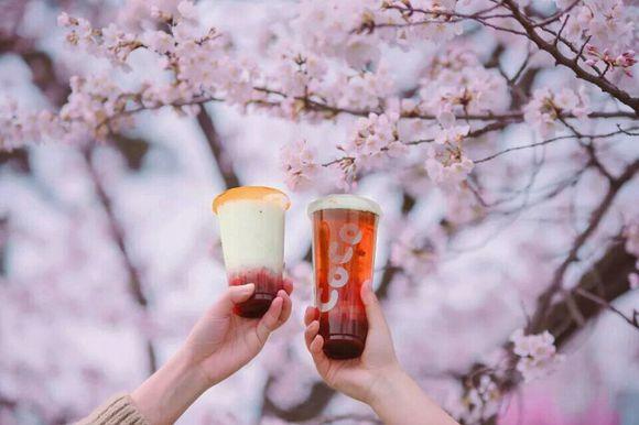 coco都可茶饮加盟总部,coco都可奶茶县城加盟费明细表