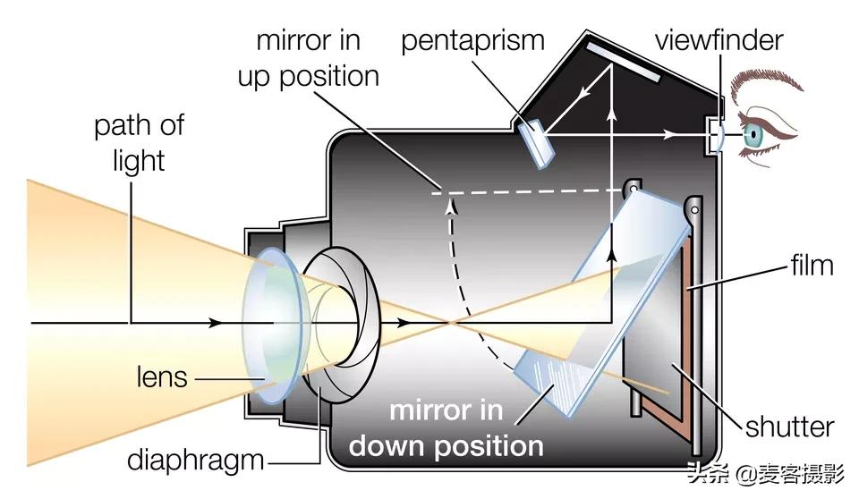 相机机身和镜头颜色不一样,相机机身分为哪几种