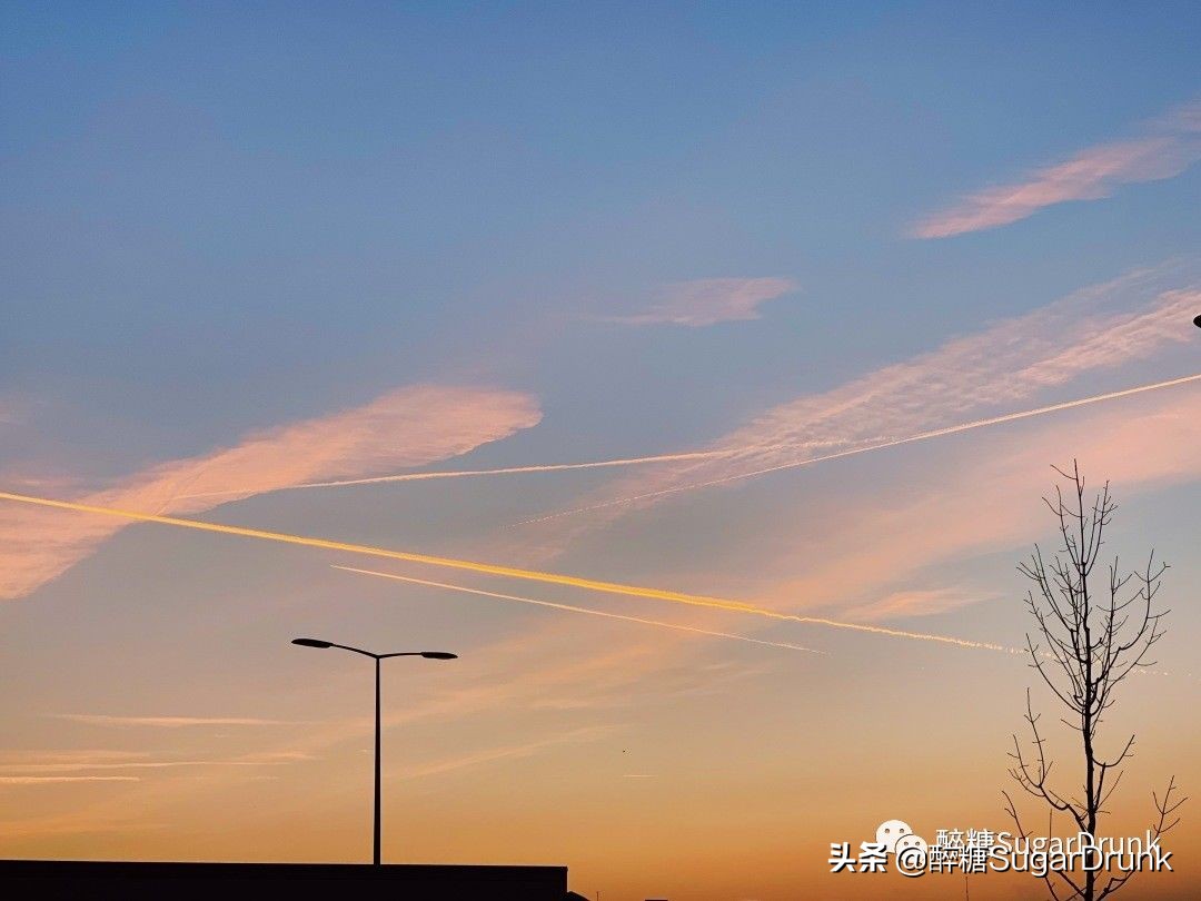 欧洲最大小商品批发市场,欧洲最大批发食品市场