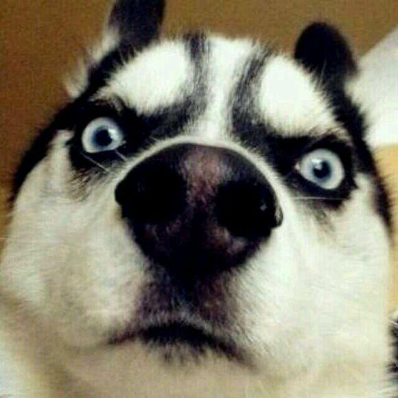 保护隐私信息注意事项,关于个人信息安全与隐私保护