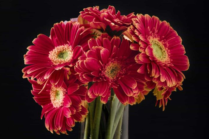 4次试管婴儿失败的女人,试管婴儿2次失败