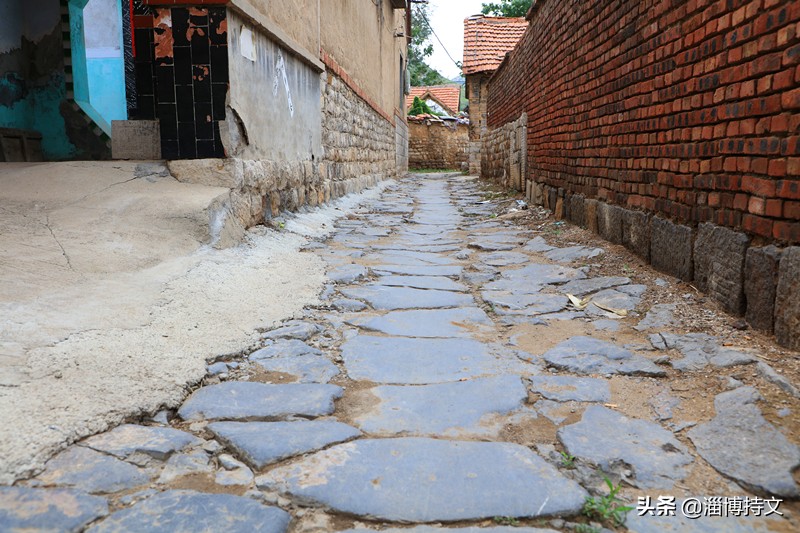 瑙︽懜涔℃剚鍙よ瘲鍥剧墖,瑙︽懜涔℃剚