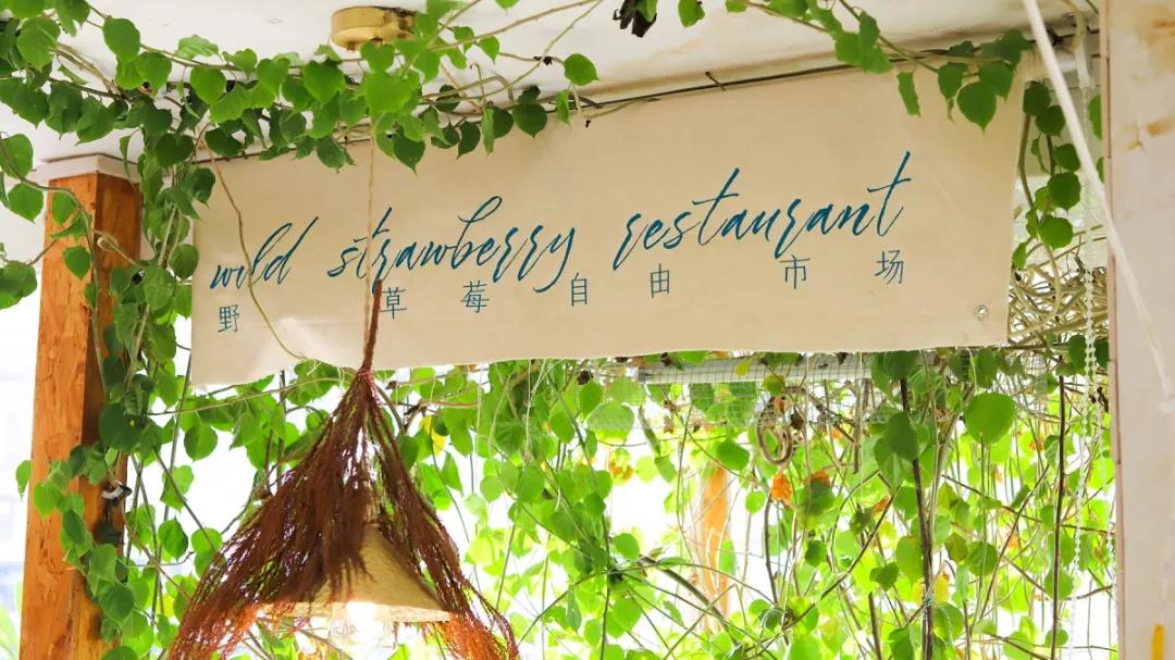 三天逛遍厦门详细路线,走遍厦门各大景点