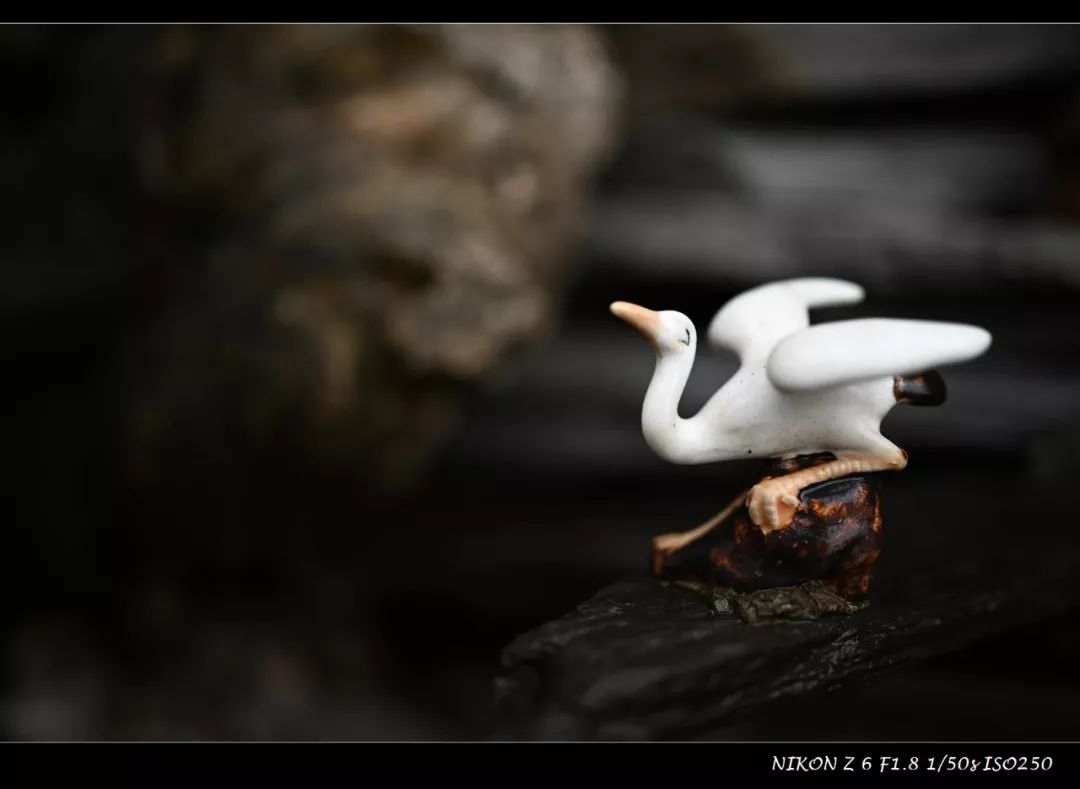 尼康35mmf1.4z卡口镜头质量如何,尼康z50配35mm1.8