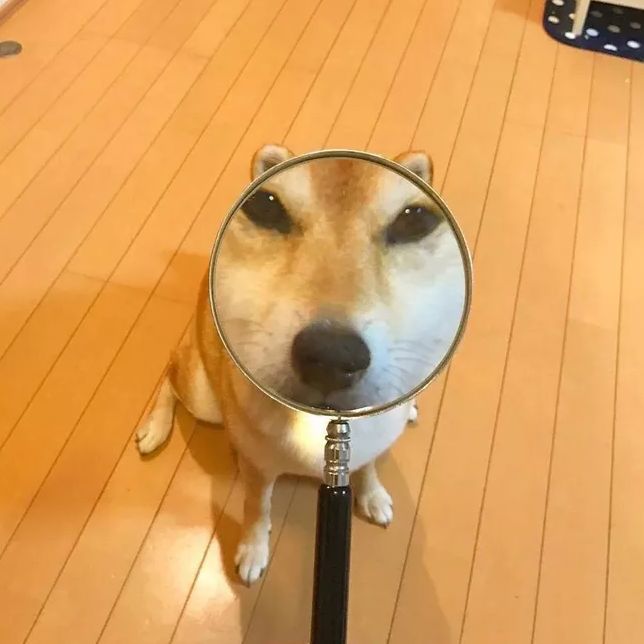 怀疑自己被当“备胎”了？发“3条QQ”试试，回答错误直接拉黑