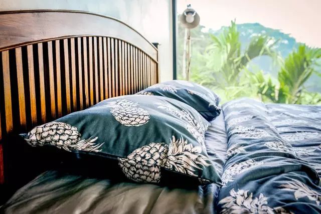 广州增城区宛若故里稻田里民宿,清远稻田田野民宿