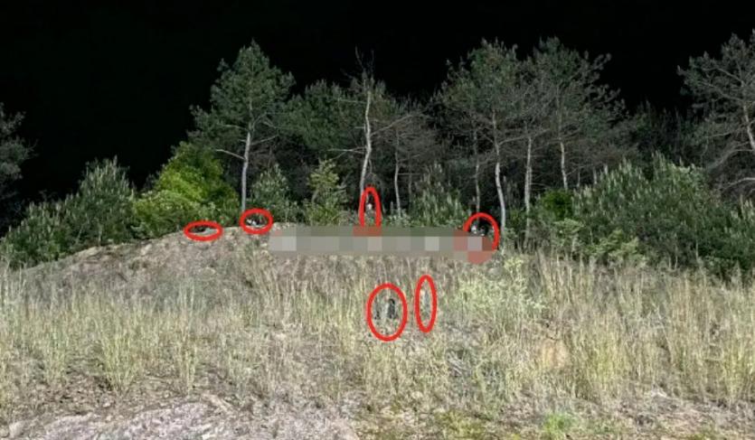 杨幂被镜头包围照片,杨幂被拍在横店