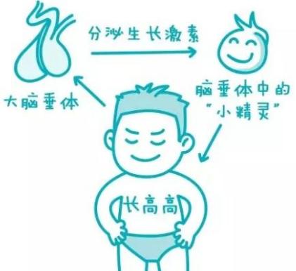 梅西生长性激素缺失,梅西真实身高不到1米6