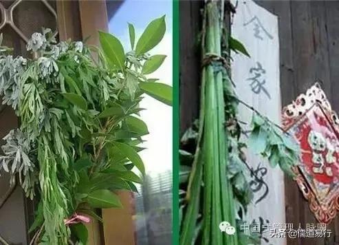 五月端午怎么过,五月端午五毒日讲解