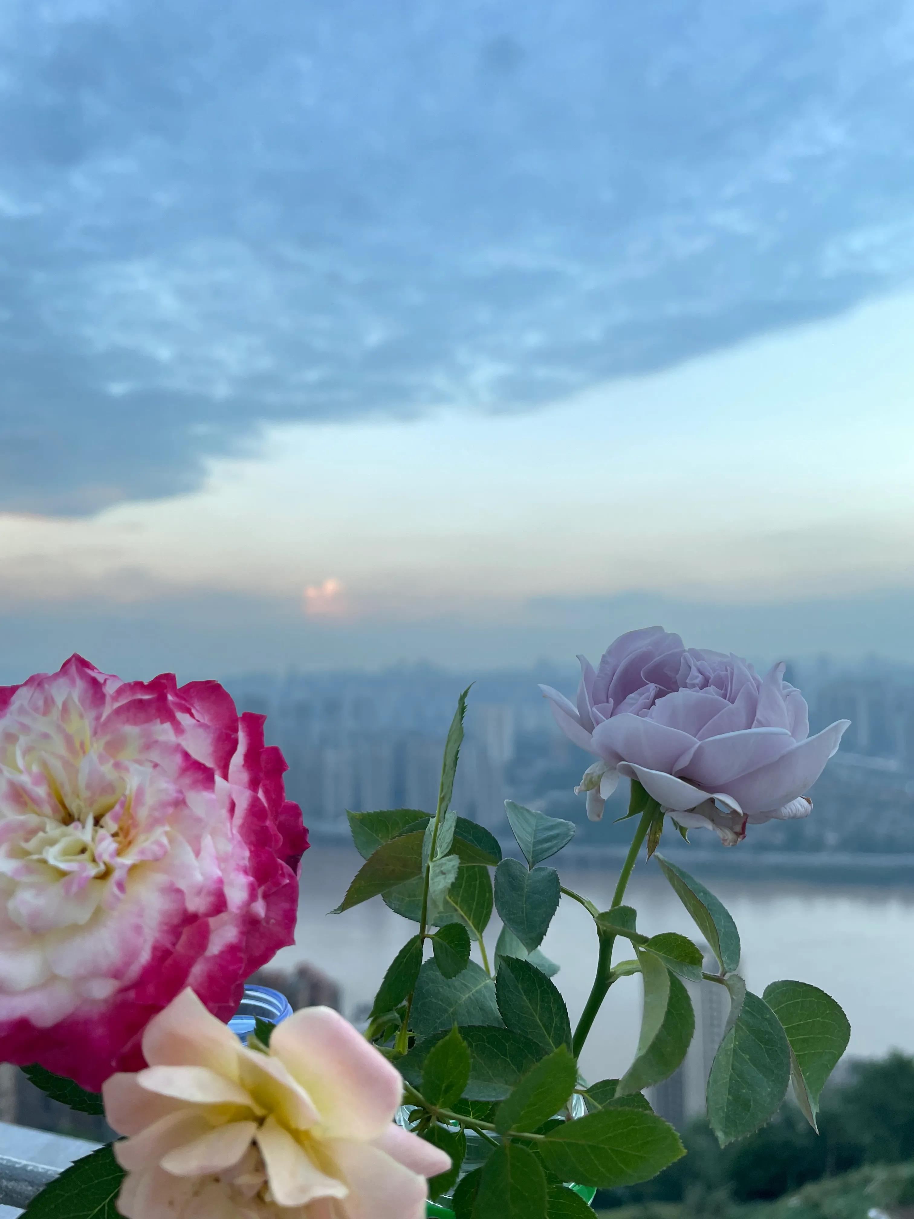 重庆大坪周边攻略,重庆怎么玩转大坪