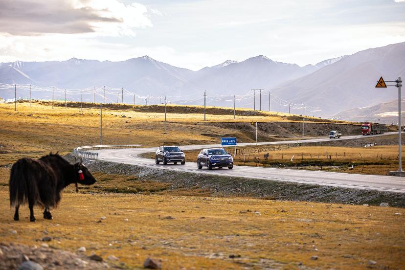 胡正阳经典视频,胡正阳游记川藏线