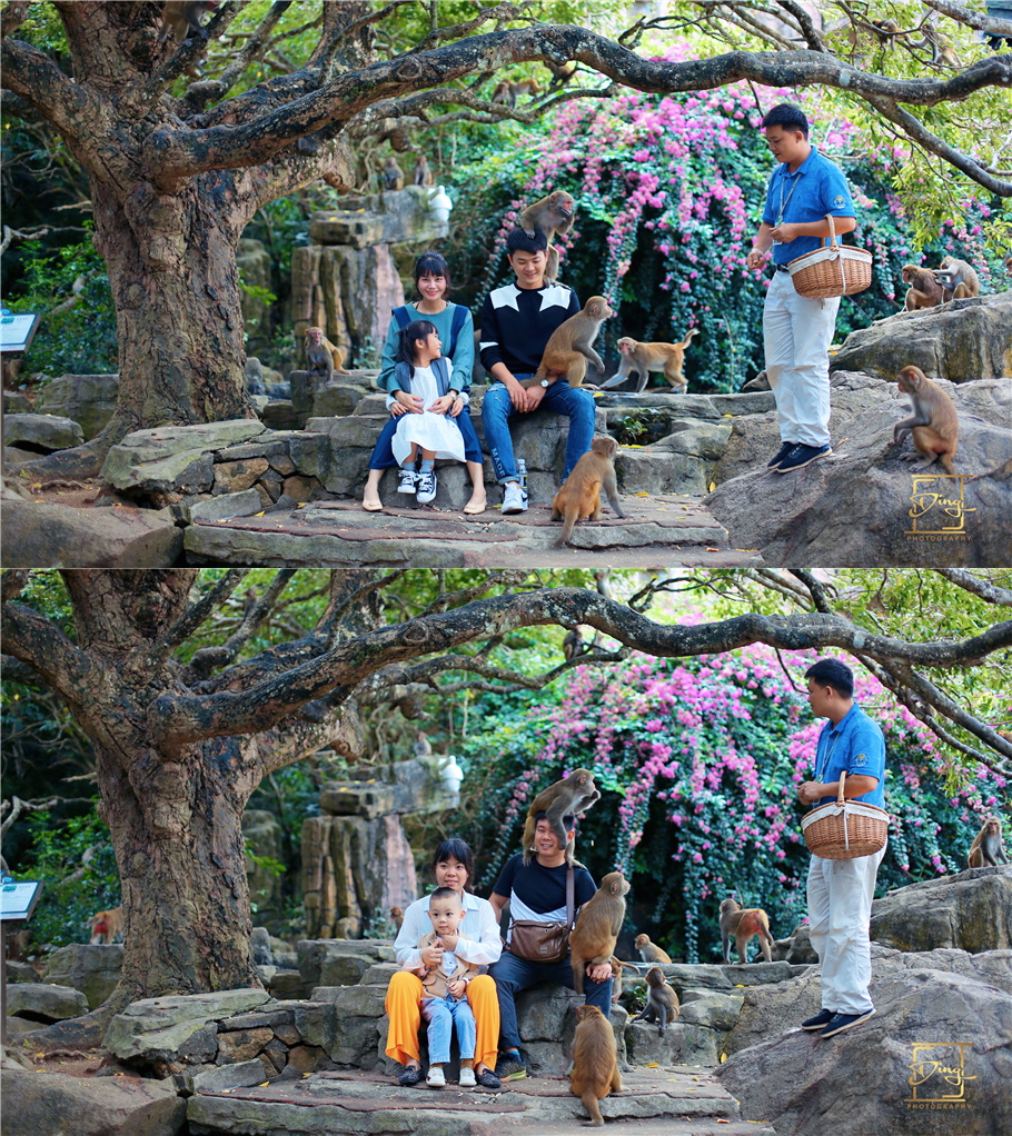 陵水猴岛与呆呆岛之旅,三亚猴岛呆呆岛有必要去吗