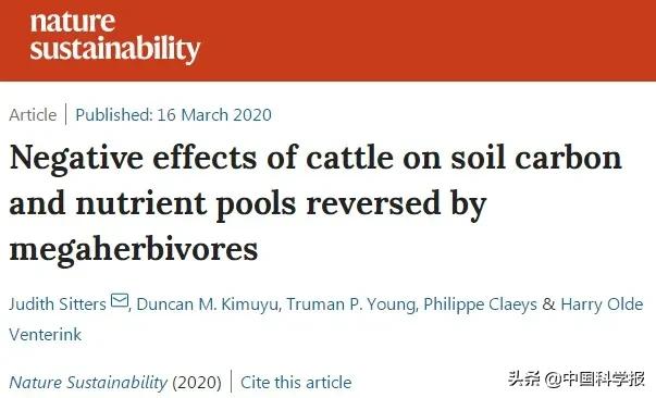 大象随地大小便现象,大象随地排便