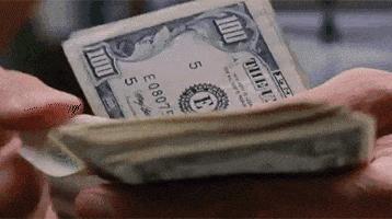 不认识的猫亲近你,不认识的猫对我叫好吗