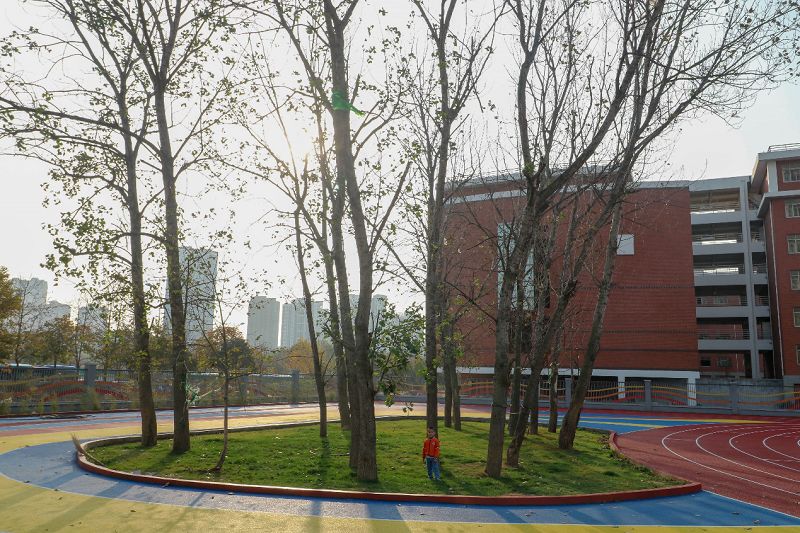 青岛西海岸新区市美小学,青岛西海岸区重点小学