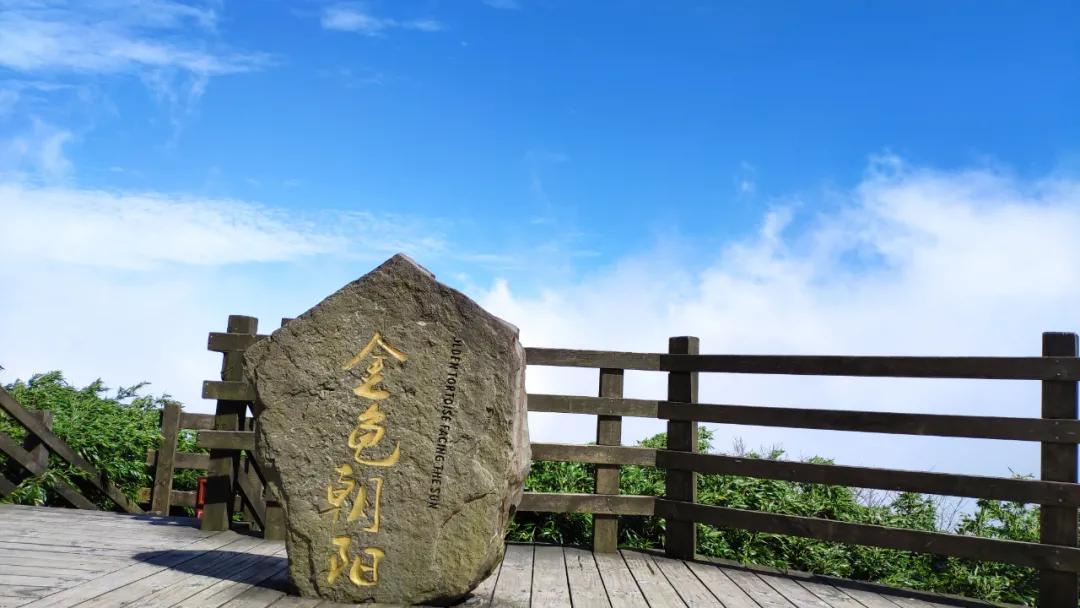 腾云驾雾观云海,腾云驾雾来到人间欣赏美景