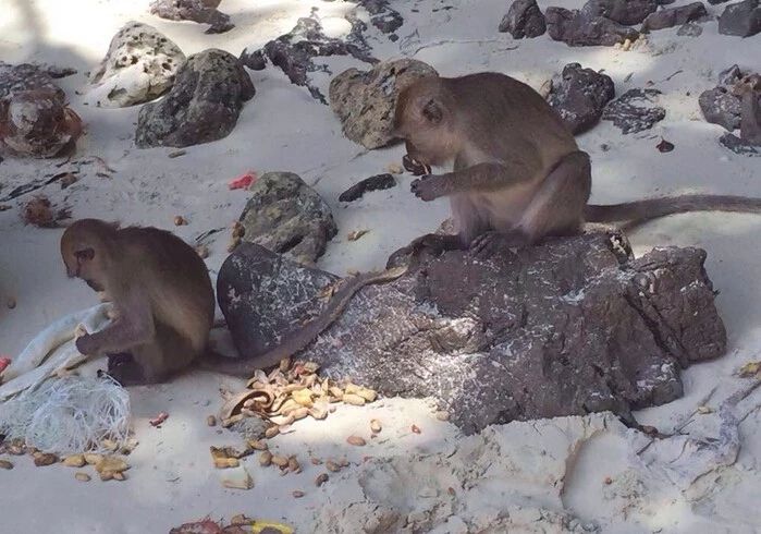 泰国普吉岛5日游旅游攻略,普吉岛5日游具体每天行程