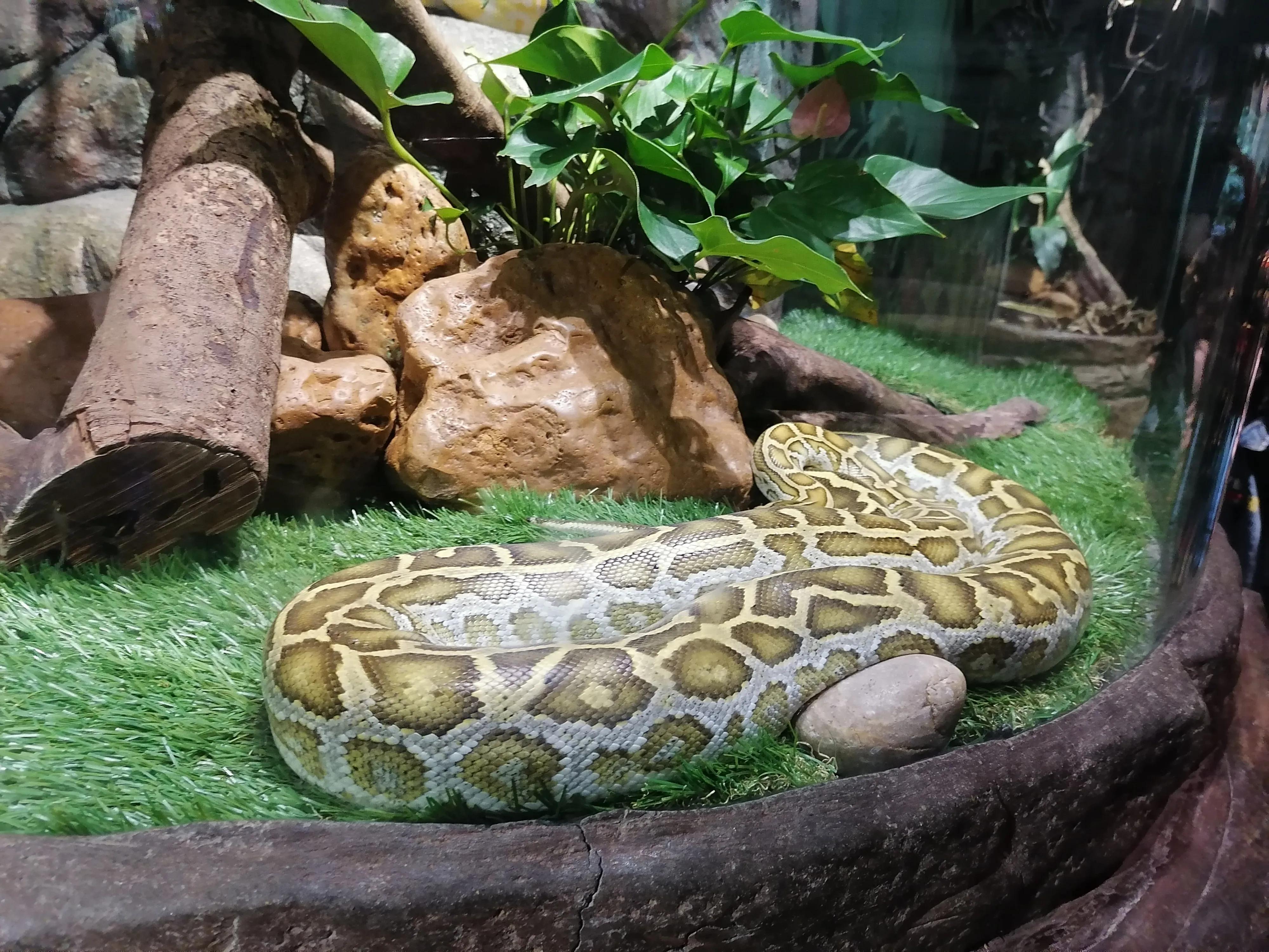 去广州长隆动物世界游玩攻略,广州长隆动物园亲子游玩攻略