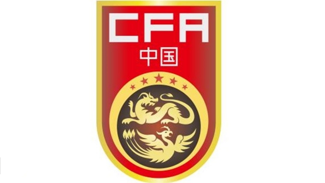 中超青年军,中超青年军征战亚冠