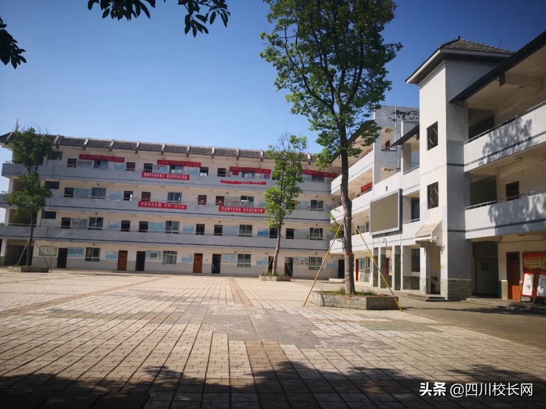 成都市洪河中学,成都市龙泉驿区洪河青苗学校情况