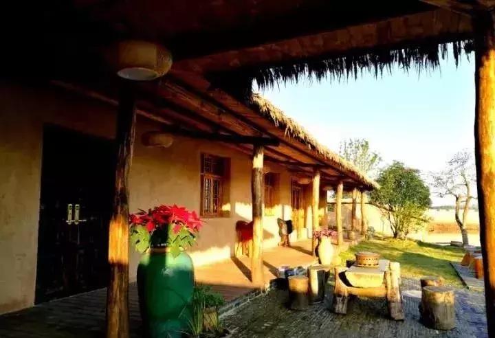 200亩，游客年超30万，这个用枯树建成的农庄牛在哪？