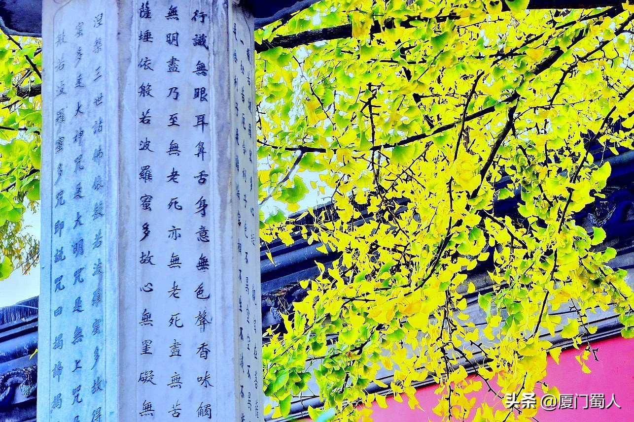 南京四大赏枫地 (南京赏枫胜地)