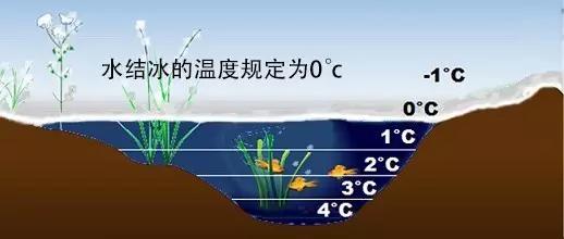 弱视怎么看孩子眼睛有没有好一点,弱视怎样促进儿童眼轴增长