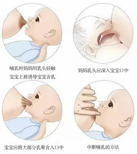 俏管家教学视频,俏管家家政简介